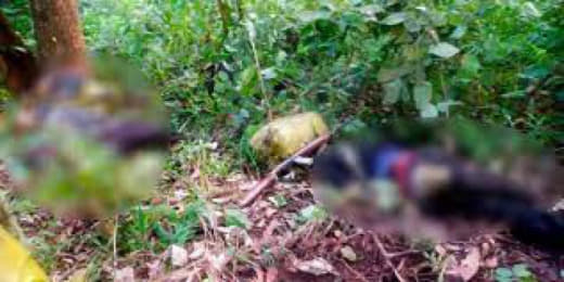 缅泰边境贩毒团伙与泰警方交火枪战致13人身亡