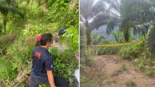 菲律宾女子上班途中惨遭割喉断掌弃尸油棕园