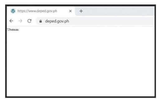 菲律宾教育部网站上周末遭到黑客攻击