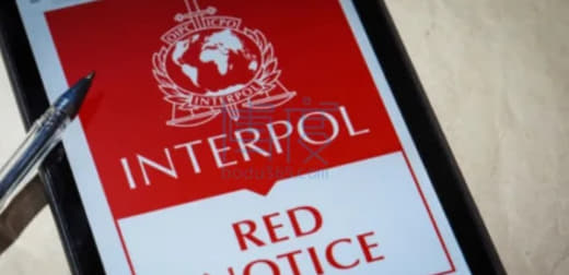 印尼要求对“卖肾案”主谋发布红色通缉令！