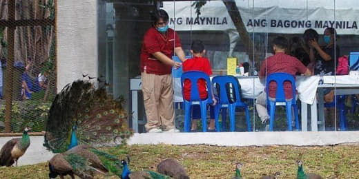 菲律宾马尼拉市长伊斯科·莫雷诺(IskoMoreno)周三表示，马尼拉...