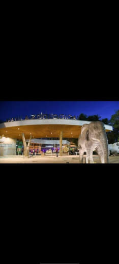 马尼拉市动物园大规模改建后即将崭新亮相！