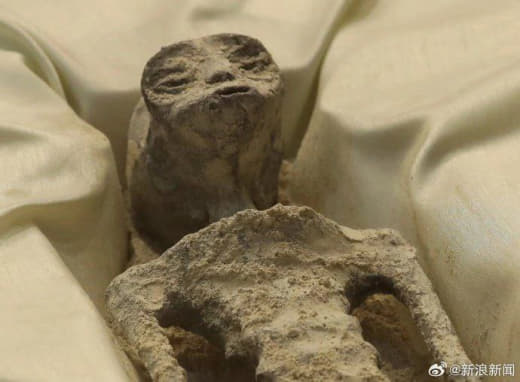 墨西哥国会展出两具外星人尸体：DNA有未知成分，号称已有1000年历史