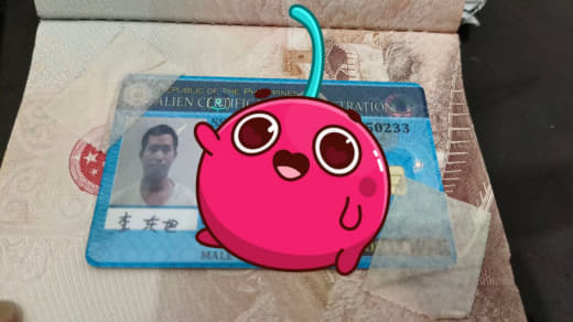 网友投稿：今天下午在Shore捡到一本护照跟9G卡.如果本人或认识的朋...