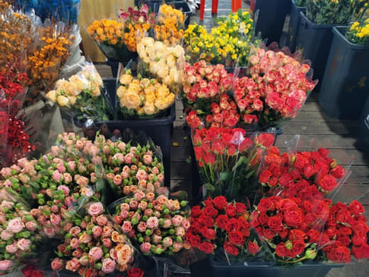 2月13日上午，马尼拉著名花市Dangwa的鲜花价格涨至平日的三倍。