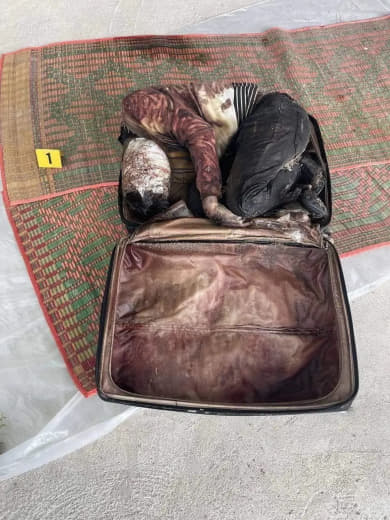 柬埔寨行李箱男尸案攻破！4名凶嫌被捕