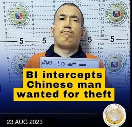 中国通缉犯本将登上回国飞机航班最后一刻取消导致逮捕