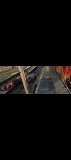 两人跌落大马尼拉MRT3铁轨不幸死亡！
