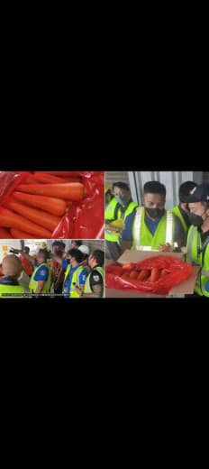 菲律宾海关局查获400万菲币走私中国胡萝卜