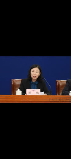 民航局运输司司长梁楠在发布会上表示，目前，民航局局正在与部分国家商谈，...