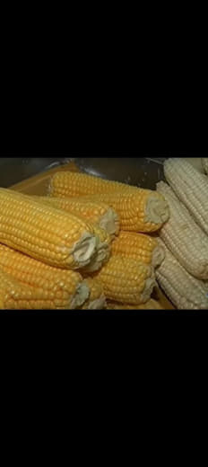 政府受促进口更多玉米以降低猪肉和鸡肉价格