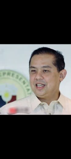 众议长罗麻地斯在马卡蒂市菲律宾工商总会举办的一个论坛表示：马科斯总统在...