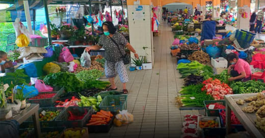 菲律宾国都区蔬菜价格不会上涨