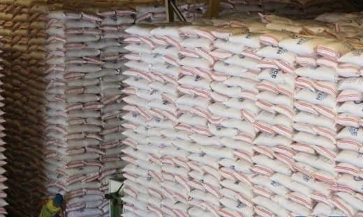 菲律宾4名大米贸易商因走私农产品被定罪
