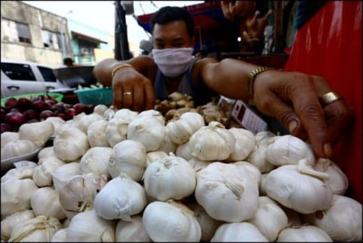 由于缺乏买家，西岷多省洛卢邦镇的大蒜供应已经开始腐烂，相反的，大马尼拉...