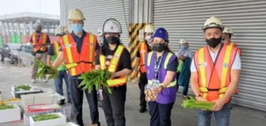 菲律宾海关局在苏比克港查获非法进口中国蔬菜