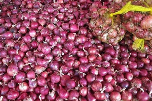 菲律宾农业部(DA)周四表示，今年的目标是将洋葱价格降至每公斤170披...