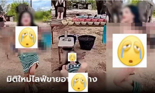 某社交平台直播中，泰国一名变性人在直播间卖大象的食物，却在直播间中脱衣...