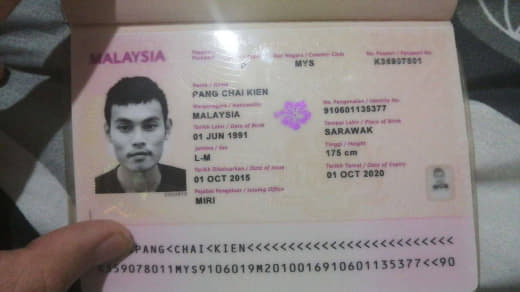 个人信息：PANGCHAIKIEN,男，1991年，马来人，护照ID：...