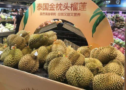 据泰国《曼谷邮报》网站报道，2月1日，泰中水果产业发展与合作研讨会在中...