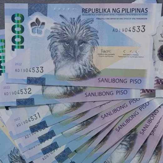 新税法】菲律宾逃税最高被罚1000万比索监禁20年