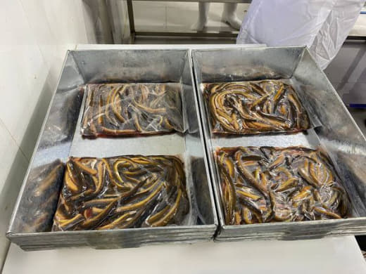 经中国海关总署许可，柬埔寨首批冷冻黄鳝和淡水虾于14日成功出口到中国市...