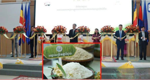 据柬媒报道，6月26日，柬埔寨商业部长主持了向菲律宾市场正式出口大米活...