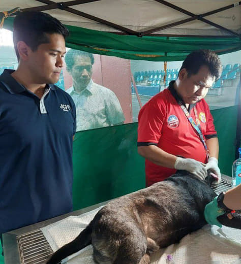 菲律宾圣胡安市设立全菲首个犬类血库