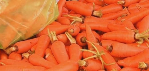 菲律宾农业部将调查走私胡萝卜活动