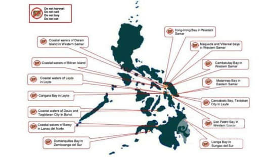 菲律宾八个海域发布赤潮警报