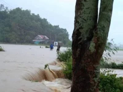 据菲律宾国家减灾委通报，截至29日8时，今年第9号台风“戈凌”共导致菲...