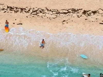 菲律宾旅游部(DOT)呼吁视频博主宣传棉兰佬岛，以鼓励更多游客前往该充...