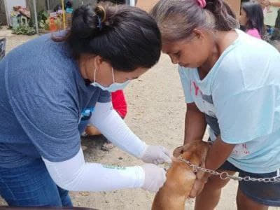 菲律宾伊洛科斯北部省（IlocosNorte）发生了一起狂犬病疫情，今...
