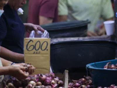 菲律宾司法部长雷穆拉10月11日透露，已经就涉嫌操纵洋葱价格一案对包括...