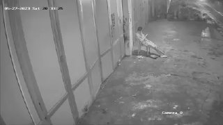 昨晚，柬埔寨干拉省，一起抢劫案现场监控视频。真是：人在家门口坐，劫匪骑...
