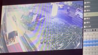 15日晚7时多，西港一中国男子驾驶摩托车诡异的直奔一家拉州拉面馆门面而...